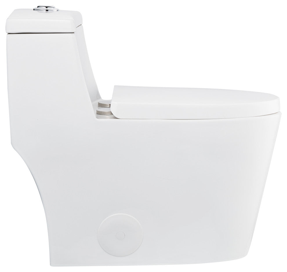Dual Flush Elongated One Piece Toilet With Glazed Surface, Seat Included