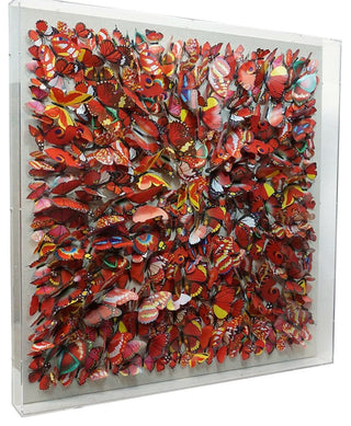 Red Butterflies Shadow Box