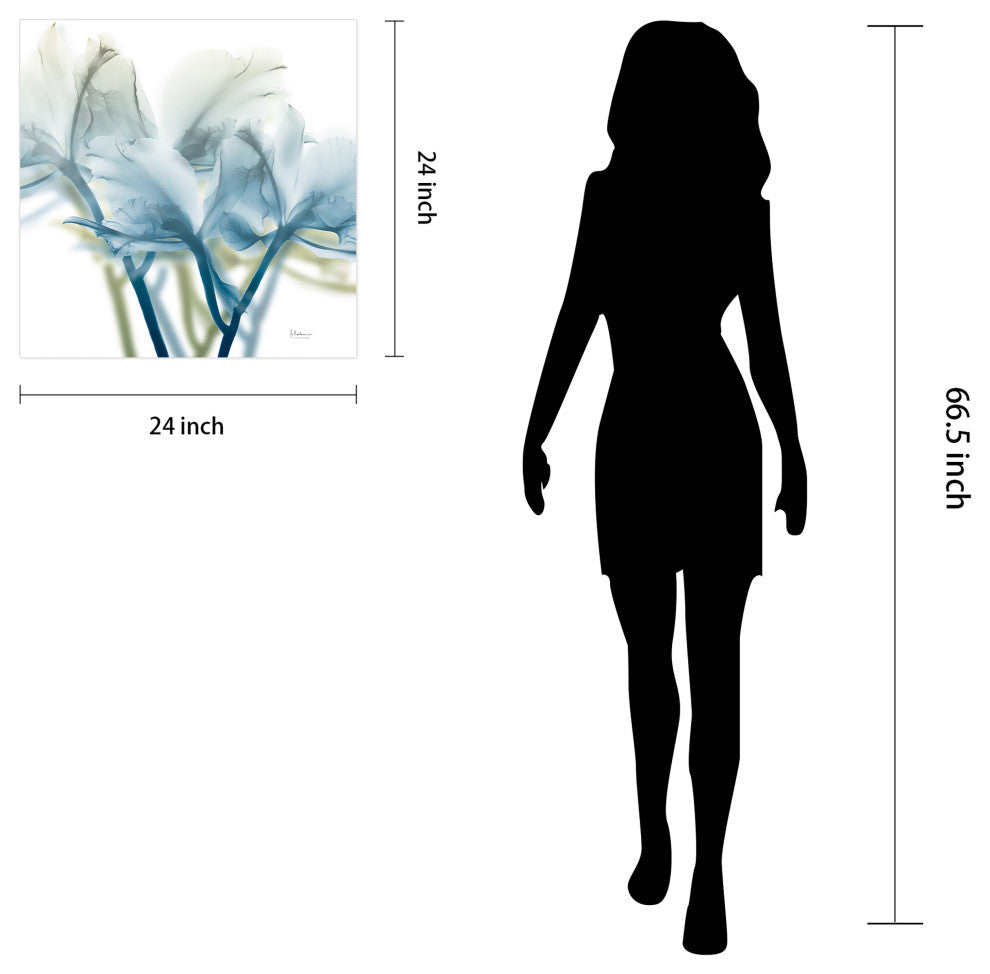 "Unfocused Beauty3"Frameless Free Floating Panel Graphic Wall Art, 24"x24"