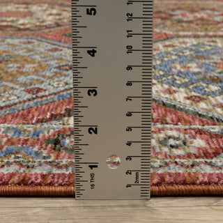 Hanford Panel Medallion Pink/Red Fringe Edge Area Rug Runner