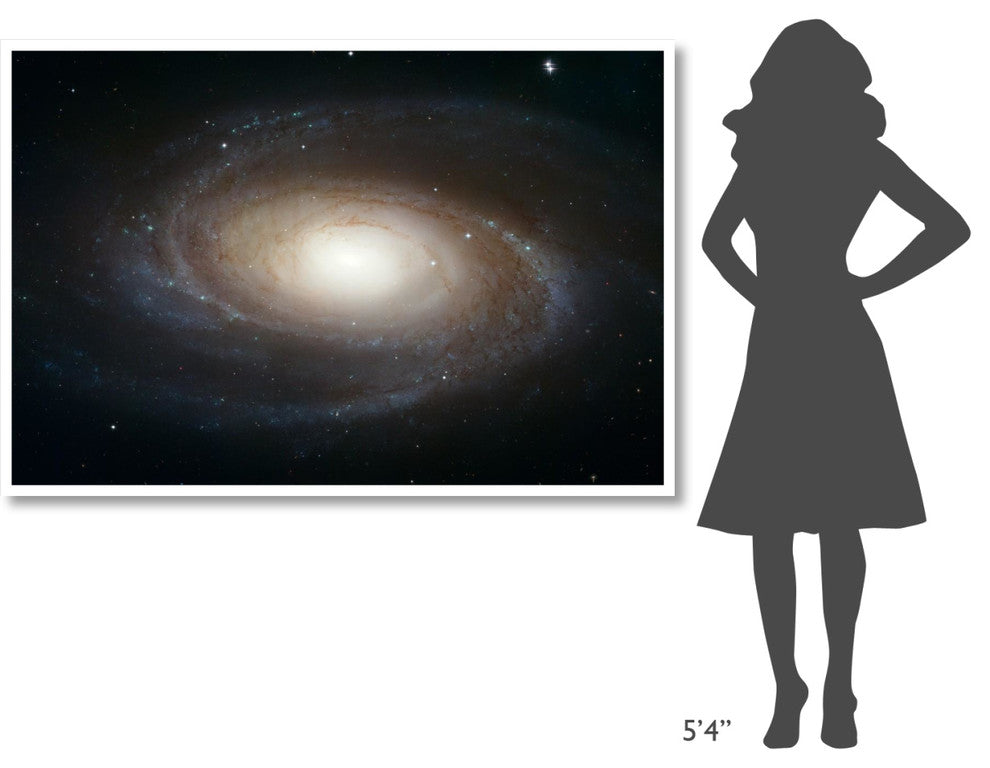 "Spiral Galaxy M81" Digital Paper Print by NASA, 62"x42"