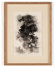 Tree Sketch I By Coup D'esprit
