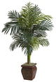 4 5' Golden Cane Palm With Decorative Container