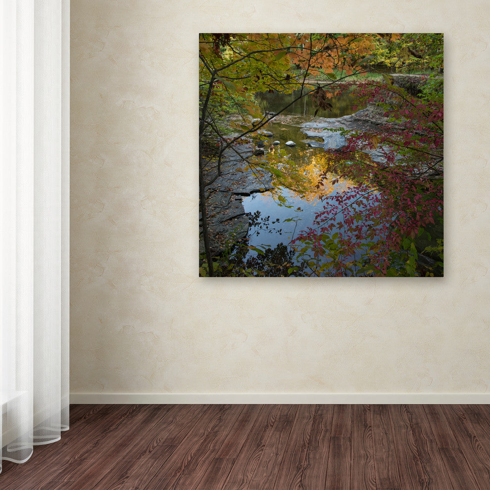 ''Why I Love Autumn 3'' Canvas Art by Kurt Shaffer