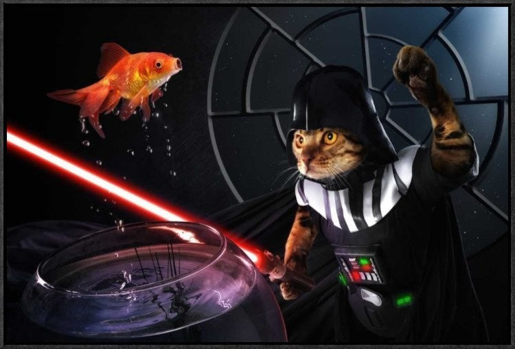 "Darth Sushi" Framed Canvas Giclee by Christophe Kiciak, 31x21"
