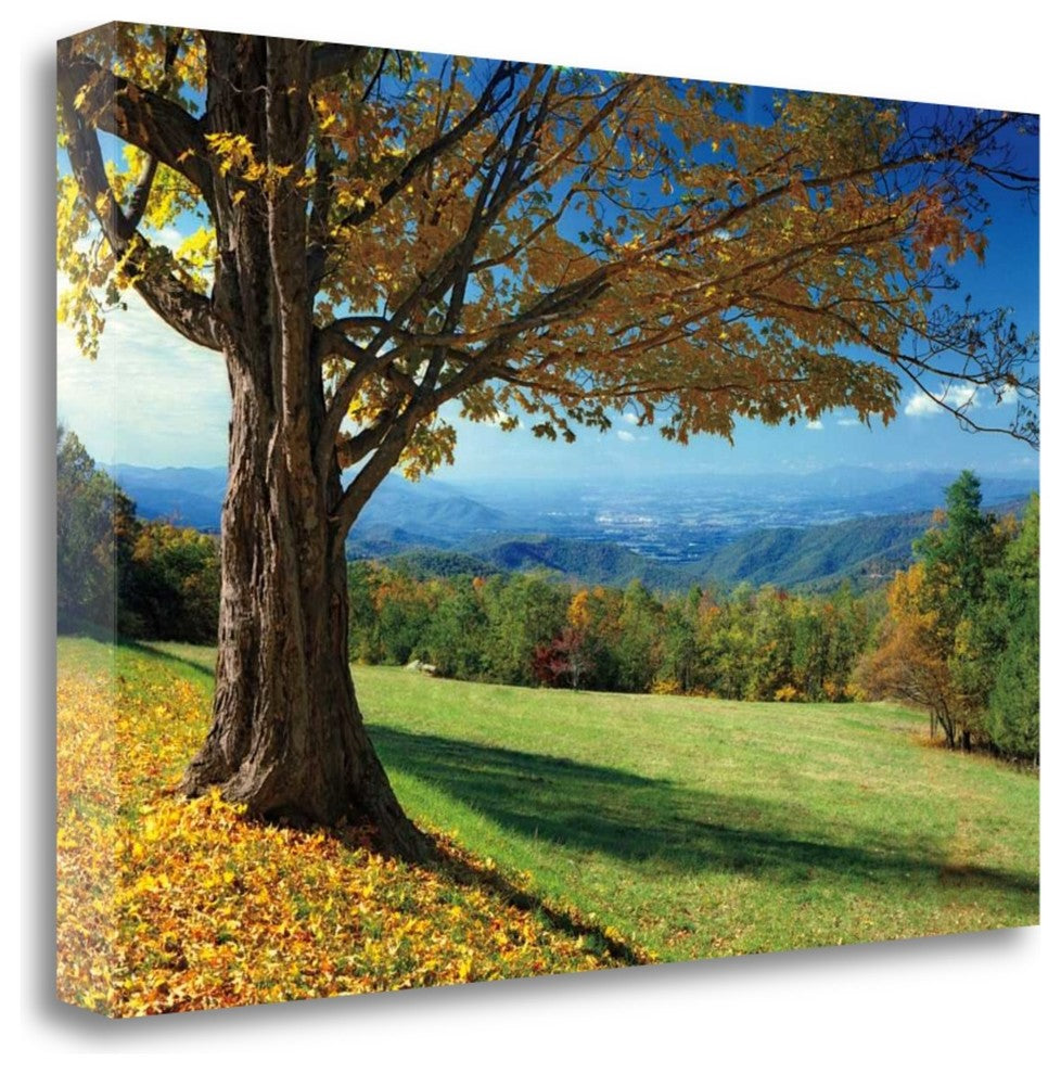 "Blue Ridge Beauty" By Mike Jones, Giclee Print on Gallery Wrap Canvas