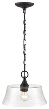 1 Light 11.5" Matte Black Pendant
