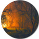 Magical Light In Forest, Landscape Large Disc Metal Wall Art, 36"