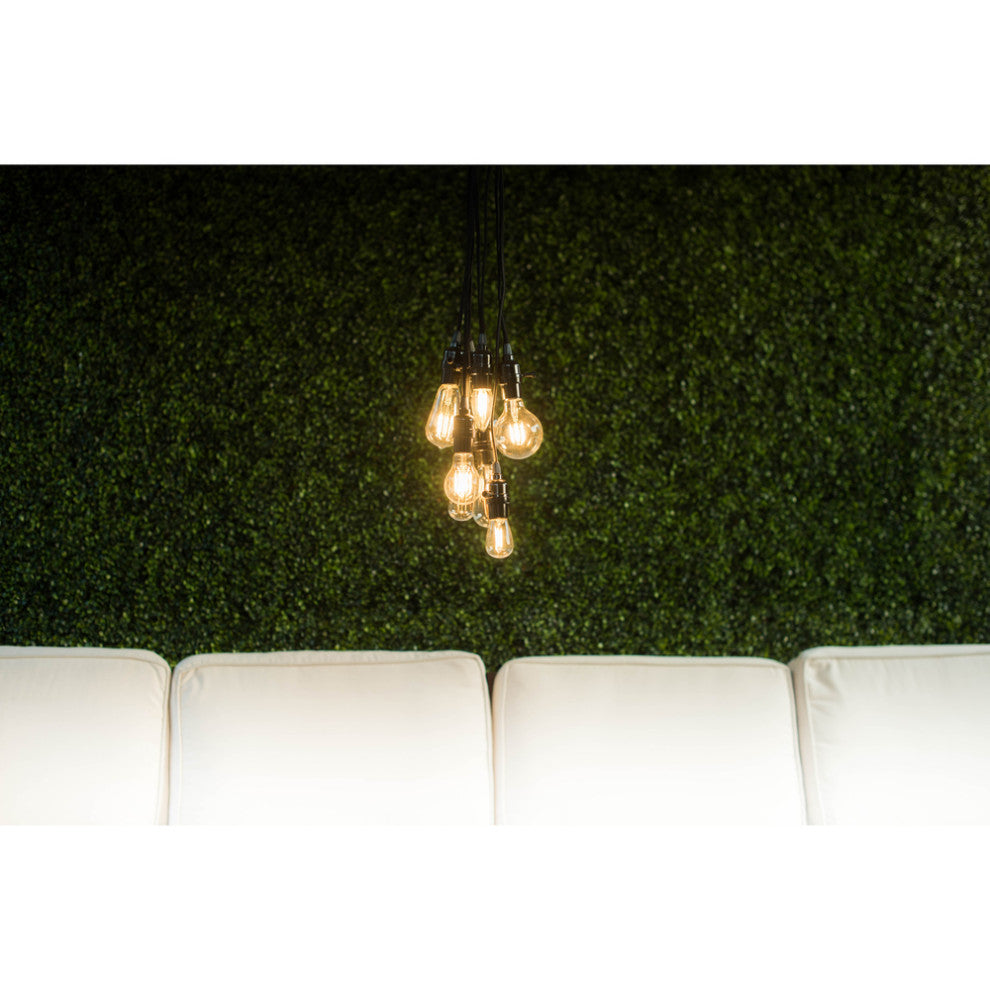 Vickerman V15Ps61 Ps60 Clear Edison Replacement Bulb