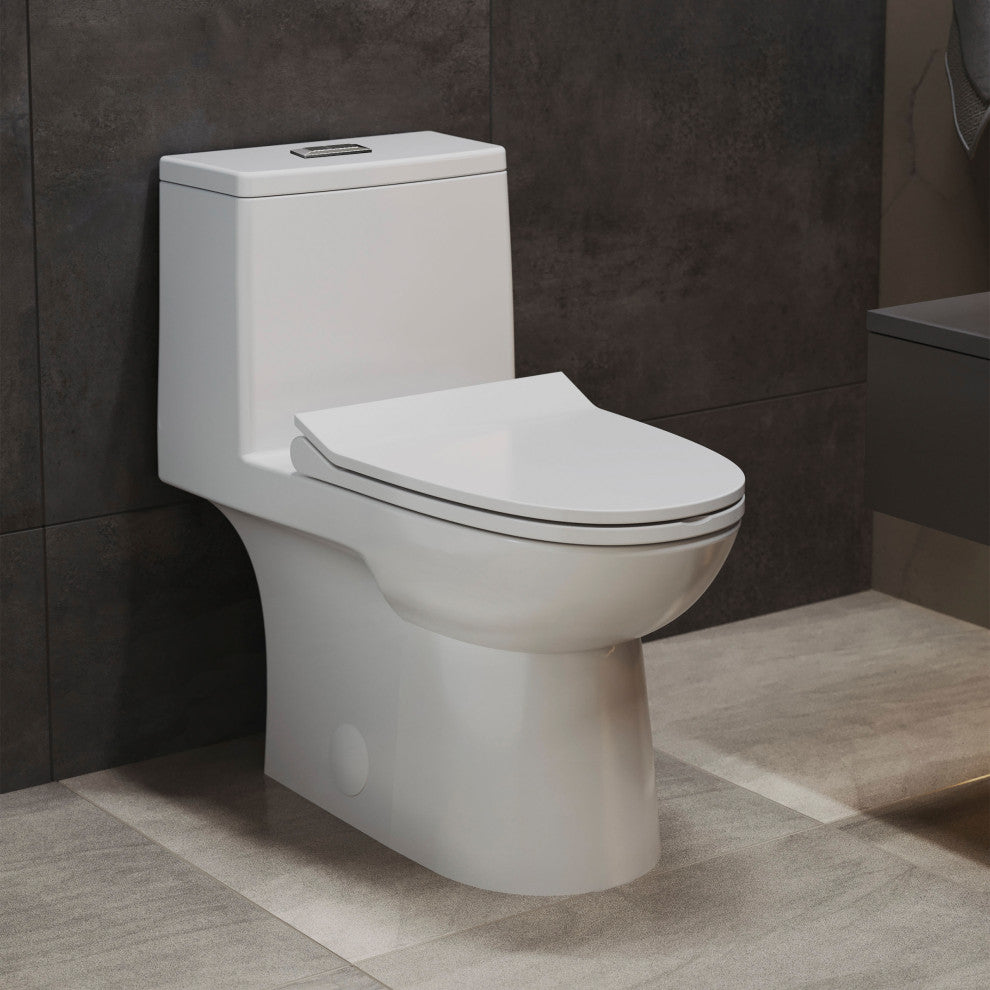Daxton One Piece Elongated Dual Flush Toilet 1.1/1.6 GPF