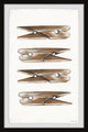 "Clothesline Clip" Framed Painting Print, 12x18