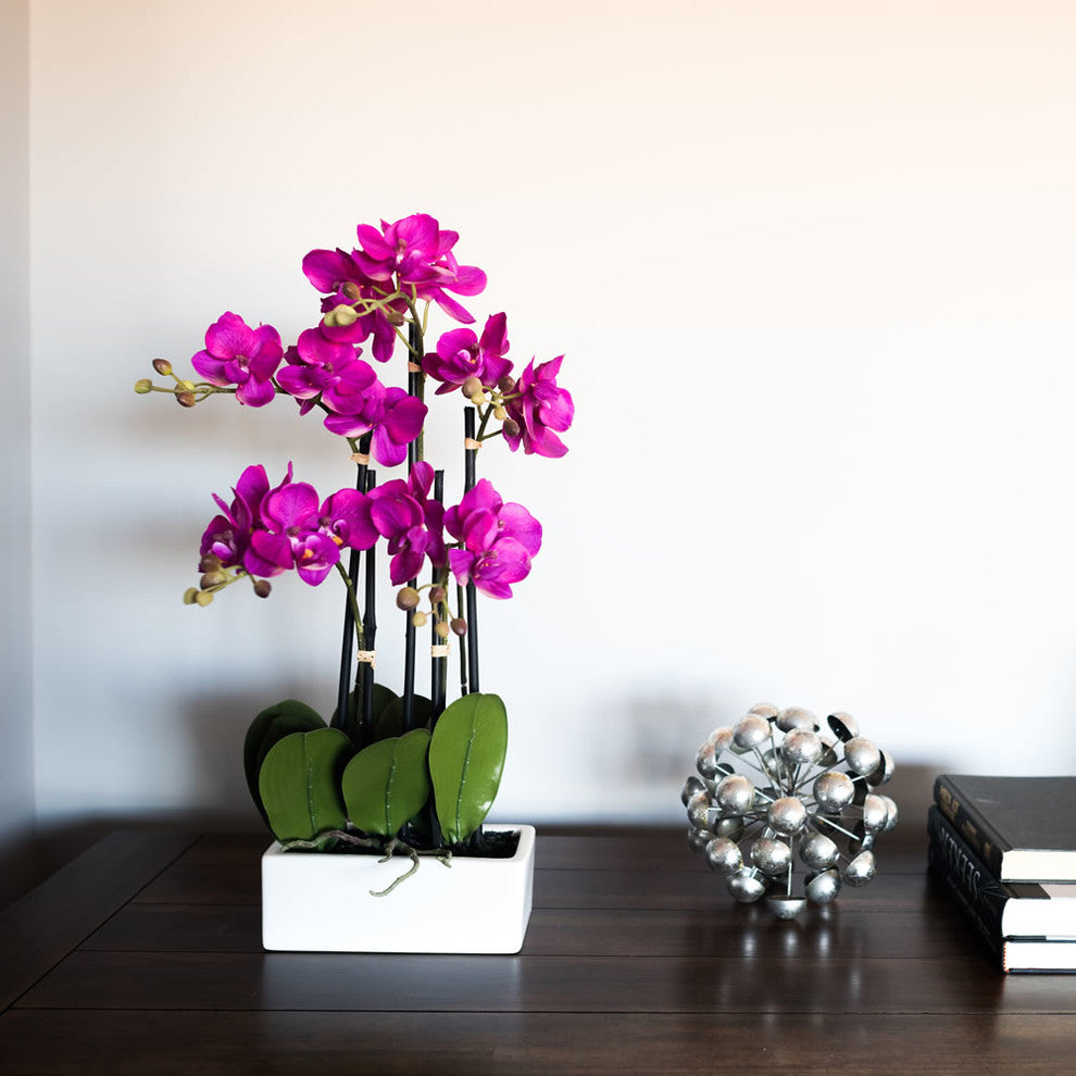 Lifestyle shot in a home setting showing the full orchid in a pot on a table.