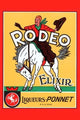 Rodeo Elixir - Fine Art Giclee Print 24" x 36"