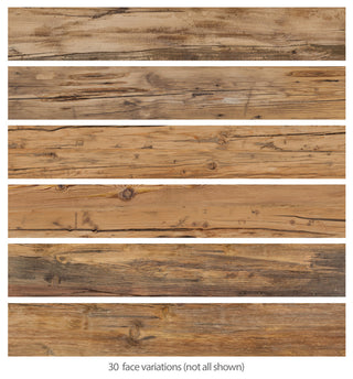 Kings Wild Porcelain Floor and Wall Tile