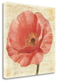 "Blushing Poppy On Cream" By Albena Hristova, Giclee on Gallery Wrap Canvas