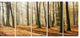 Bright Autumn Day in Thick Forest, Modern Forest Canvas Art, 60"x28", 5 Panels
