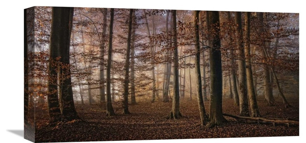 "Autumn" Stretched Canvas Giclee by Norbert Maier, 22x11"