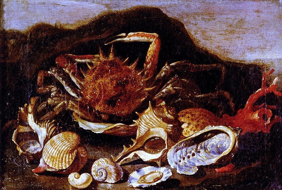 Paolo Porpora Still Life Of A Crab  Shells And Coral In A Landscape Canvas Wrap