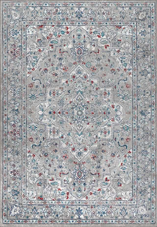 Modern Persian Vintage Medallion Light Grey/ Multi 3' x 5' Area Rug