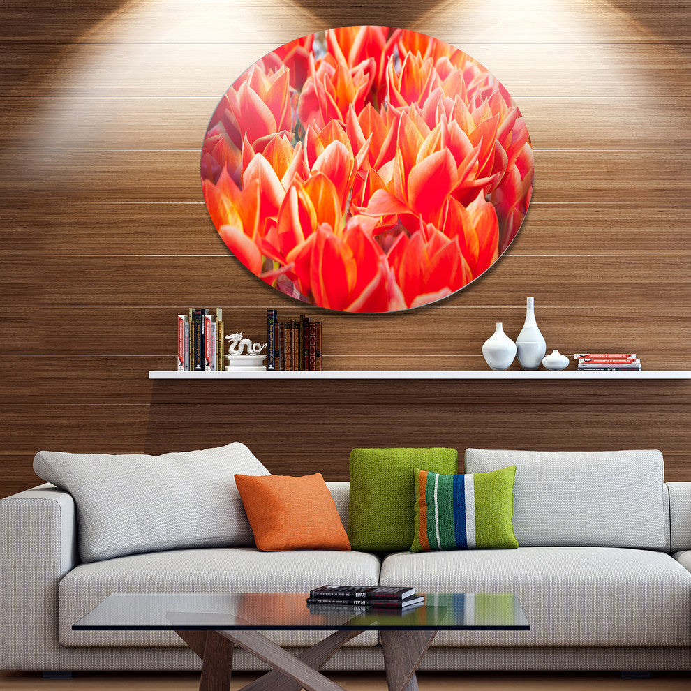 Tulip Flowers In The Keukenhof Park, Floral Disc Metal Wall Art, 36"