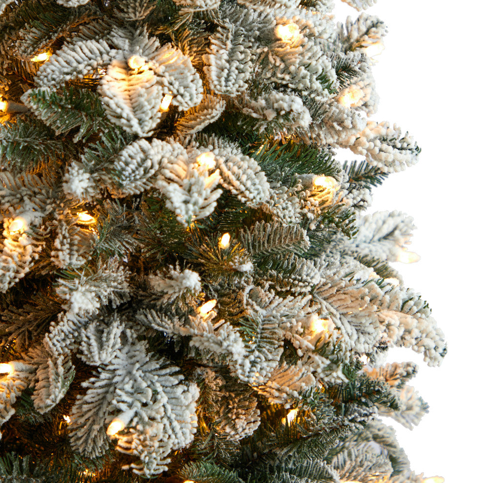 5'' Flocked North Carolina Fir Artificial Christmas Tree, 350 Warm White Lights
