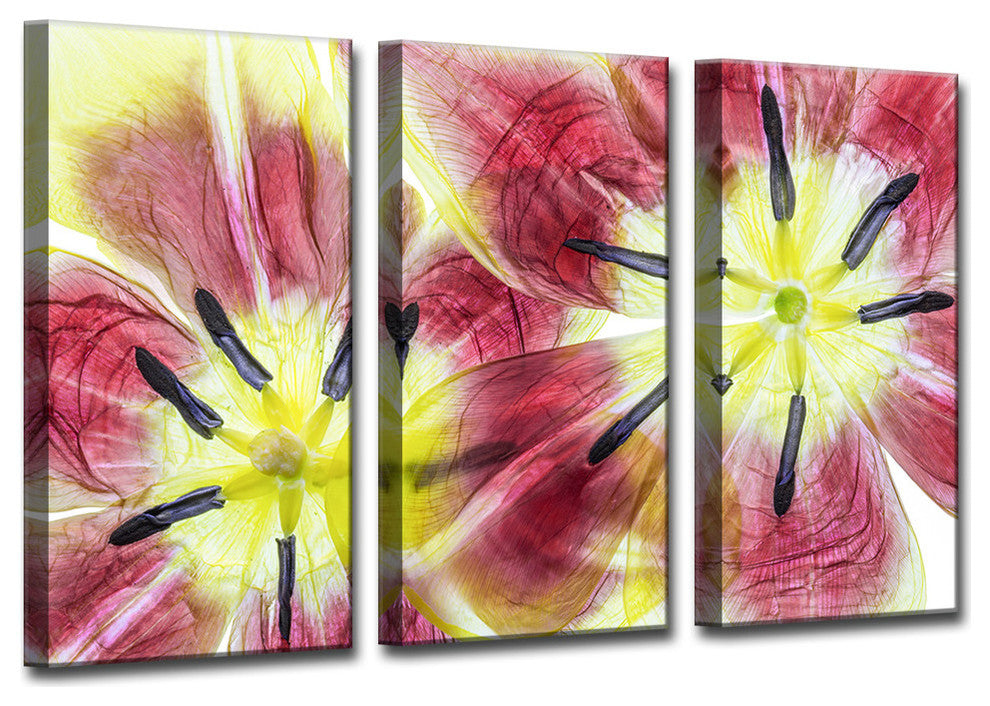Ready2HangArt 'Tulips' 3-Piece Canvas Wall Decor Set, 36"x24"