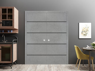 French Double Pocket Doors 48x96 | Planum 0015 Concrete with  | Kit Trims Rail