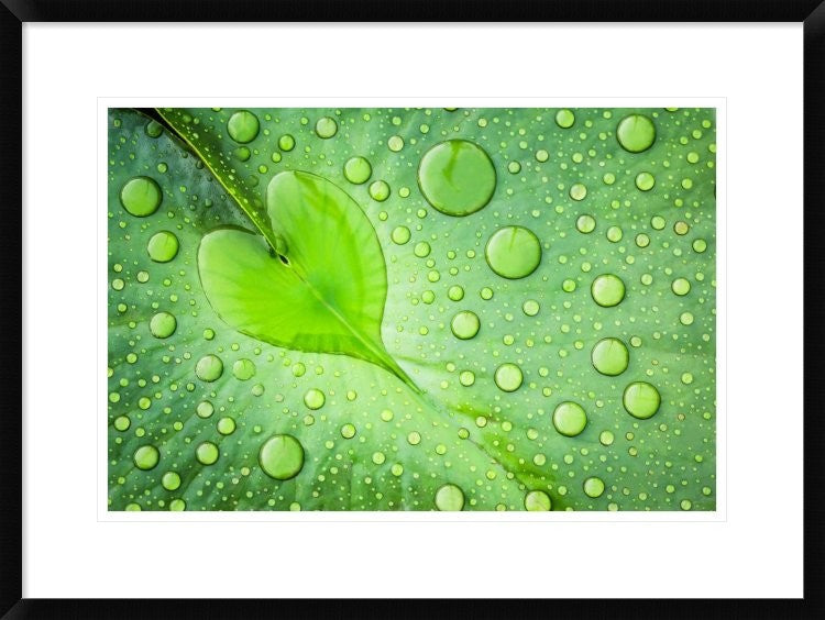 "Heart" Framed Digital Print by Patrick Foto, 30x22"