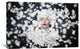 "Dreaming Of Spring" Stretched Canvas Giclee by See Plus, 30"x20"