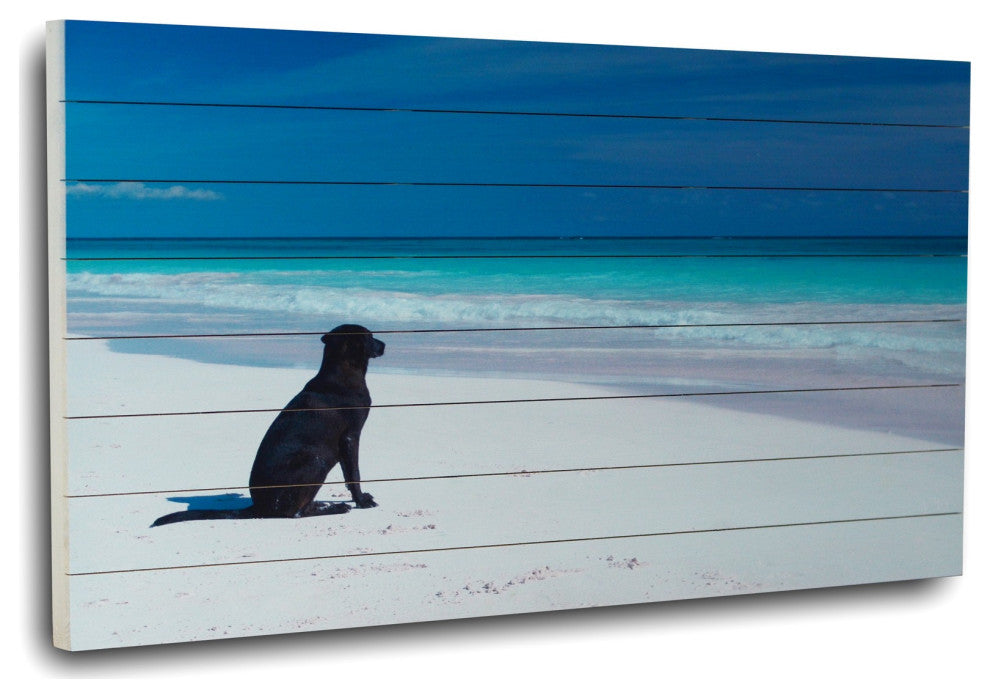 36" Energetic Dog at the Beach Wood Plank Wall Art