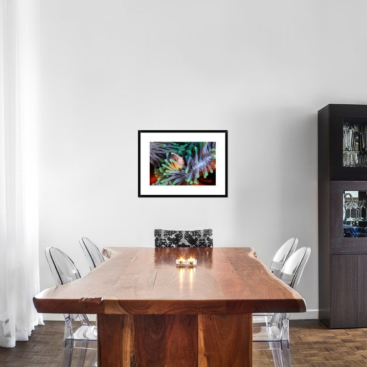 "Clownfish" Framed Digital Print by Barathieu Gabriel, 30x22"