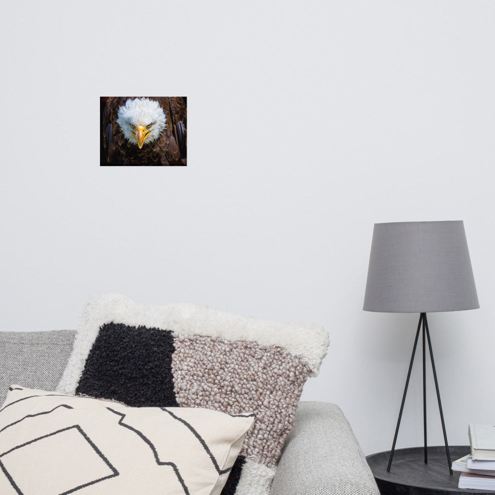 Bald Eagle Portrait Close-up Loose Wall Art Print, 8" X 10"