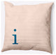 20" x 20" Modern Monogram Indoor/Outdoor Polyester Throw Pillow, Autumn Blue