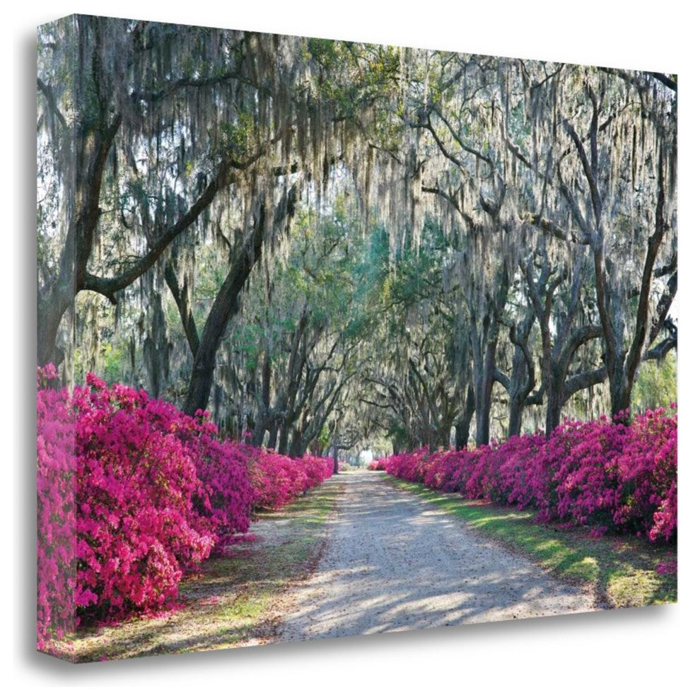 "Azaleas Bonaventure" By Winthrope Hiers, Giclee Print on Gallery Wrap Canvas