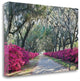 "Azaleas Bonaventure" By Winthrope Hiers, Giclee Print on Gallery Wrap Canvas
