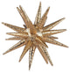 Spiny Urchin