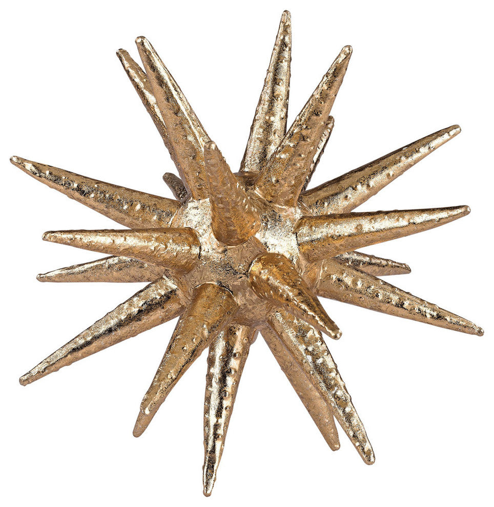 Spiny Urchin