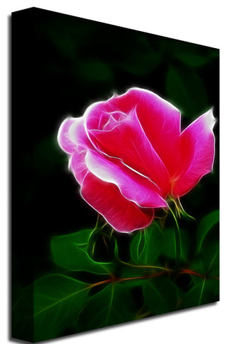 'Pink Rose Abstract' Canvas Art by Kathie McCurdy