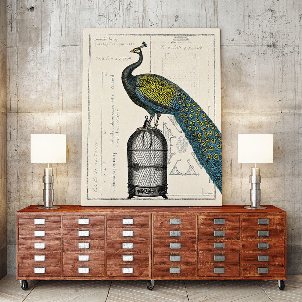"Peacock Birdcage II" Museum Mounted Canvas Print, 24"x32"