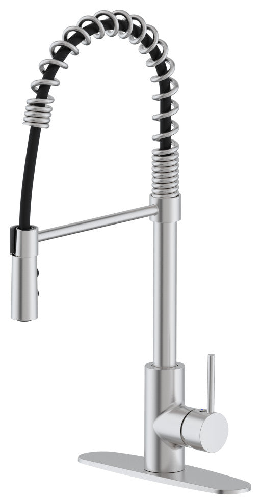 Kitchen Faucet  with Dual Function Spray Head, Stainless Steel