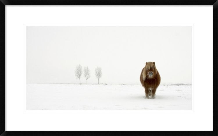 "The Cold Pony" Framed Digital Print by Gert Van Den, 32"x20"