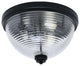 16" 3-Light Flush Mount Light, Matte Black, Clear Bubble Glass