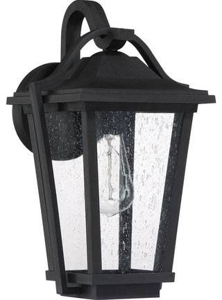 Quoizel DRS8409 Darius 1 Light 15" Tall Outdoor Wall Sconce - Earth Black