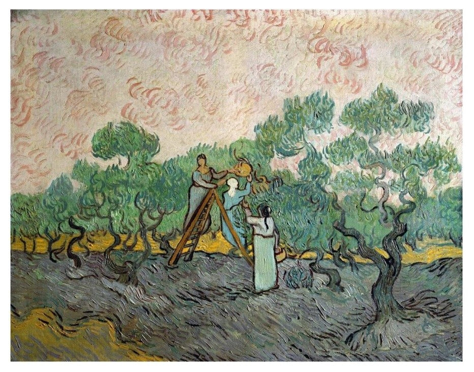 "Women Picking Olives" Digital Paper Print by Vincent Van Gogh, 18"x14"