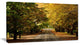 "Road Through Beautiful Green Trees" Landscape Wall Art, 40"x20"