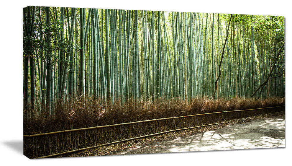 "Beautiful View of Bamboo Forest" Forest Wall Art Print, 1 Panel, 60"x28"