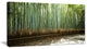 "Beautiful View of Bamboo Forest" Forest Wall Art Print, 1 Panel, 60"x28"
