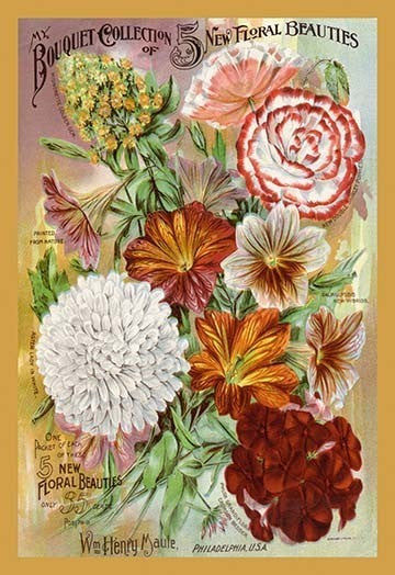 My Bouquet Collection of Five New Floral Beauties- Fine Art Giclee Print