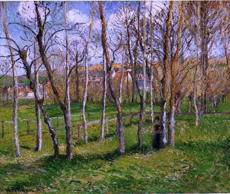 Camille Pissarro Meadow at Bazincourt, Gallery Wrapped Canvas Print, 20"x25"