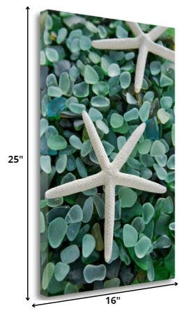 21" Two Starfish and Green Seaglass Giclee Wrap Canvas Wall Art